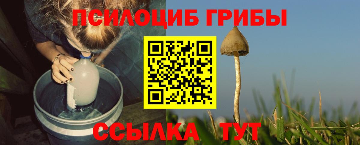 Псилоцибиновые грибы MAGIC MUSHROOMS Печора